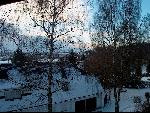 View from out of my window / Blick aus meinem Fenster