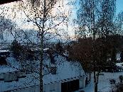 View from out of my window / Blick aus meinem Fenster