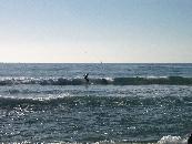 Surfin' USA