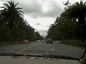 Auf dem Weg nach Stanford / On the way to Stanford