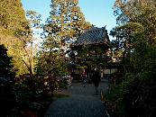 Japanischer Garten im Golden Gate Park / Japanese     Garden within Golden Gate Park