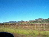 Weingegend Sonoma Valley / Wine area Sonoma Valley