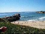 Natural Bridges Beach