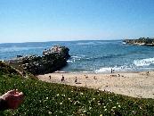 Natural Bridges Beach