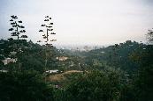 Bel Air