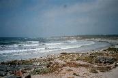 Beach at the '17 Mile Drive' / Strand am '17   Mile Drive'